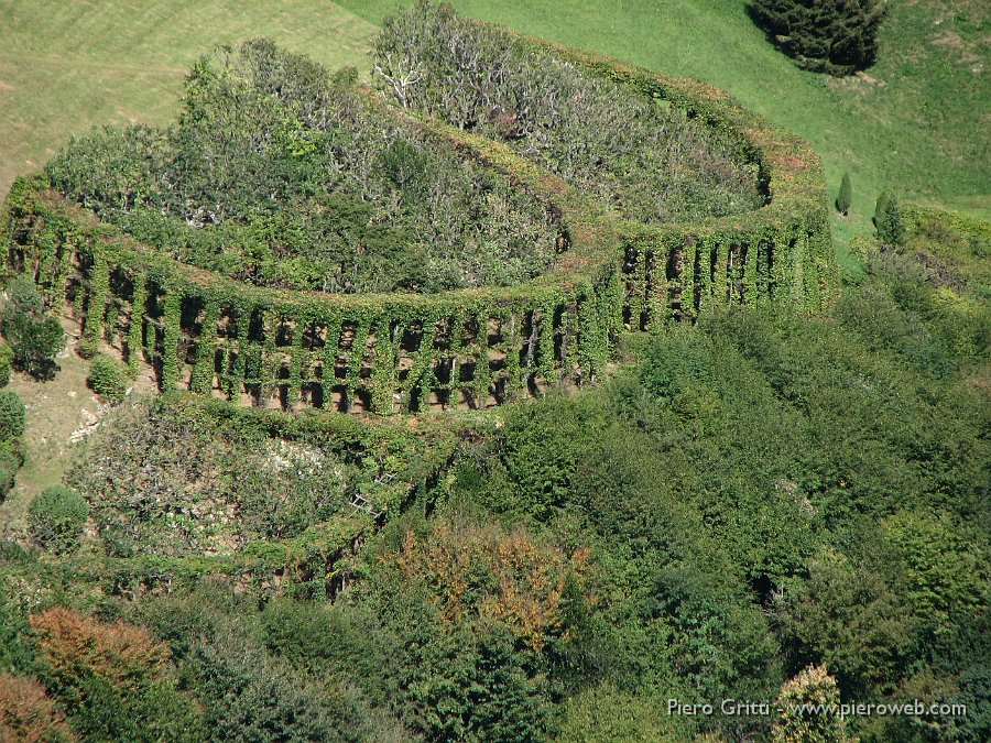 RoccoloAvesaGanda 005.jpg - Doppio filare di carpini disposti in forma semicircolare